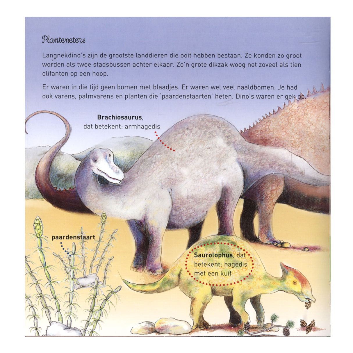 Central bog hus willewete - dinosaurer