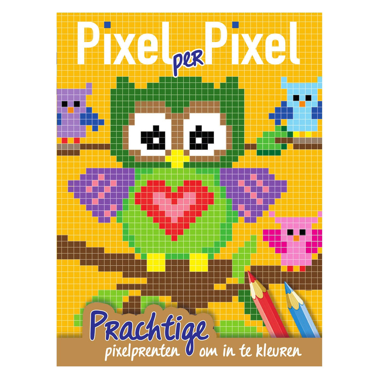 Orale kort Pixel Colorbook Owls