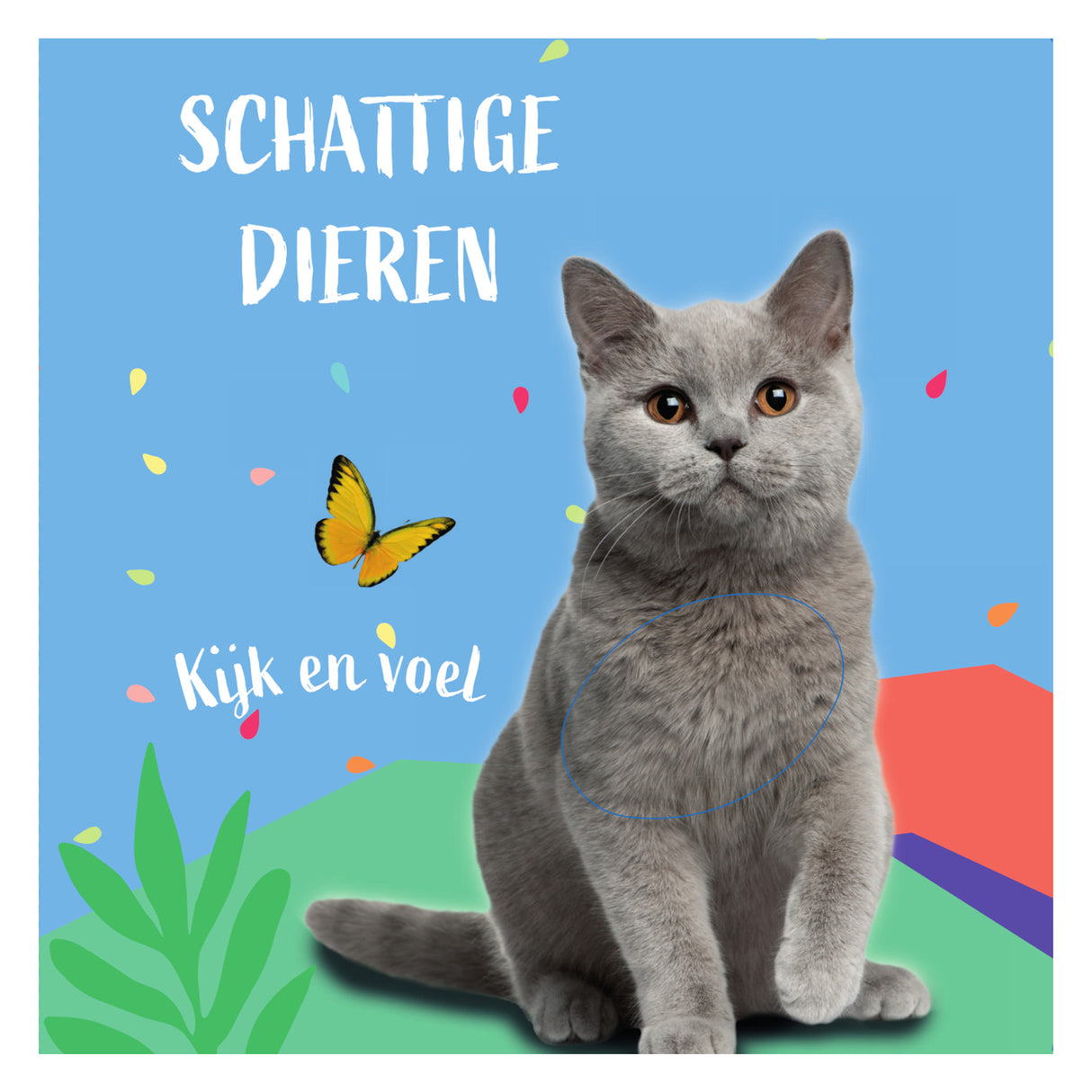 Følelse hæfte kitty