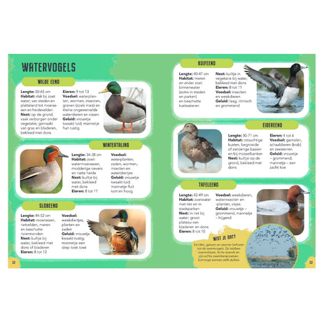 Rebo forlag fugle - guide og naturdagbog for børn