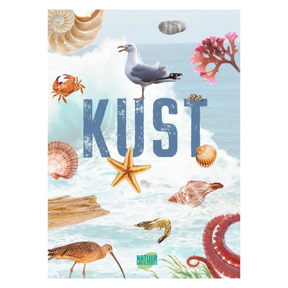 Abi naturforskere kyst