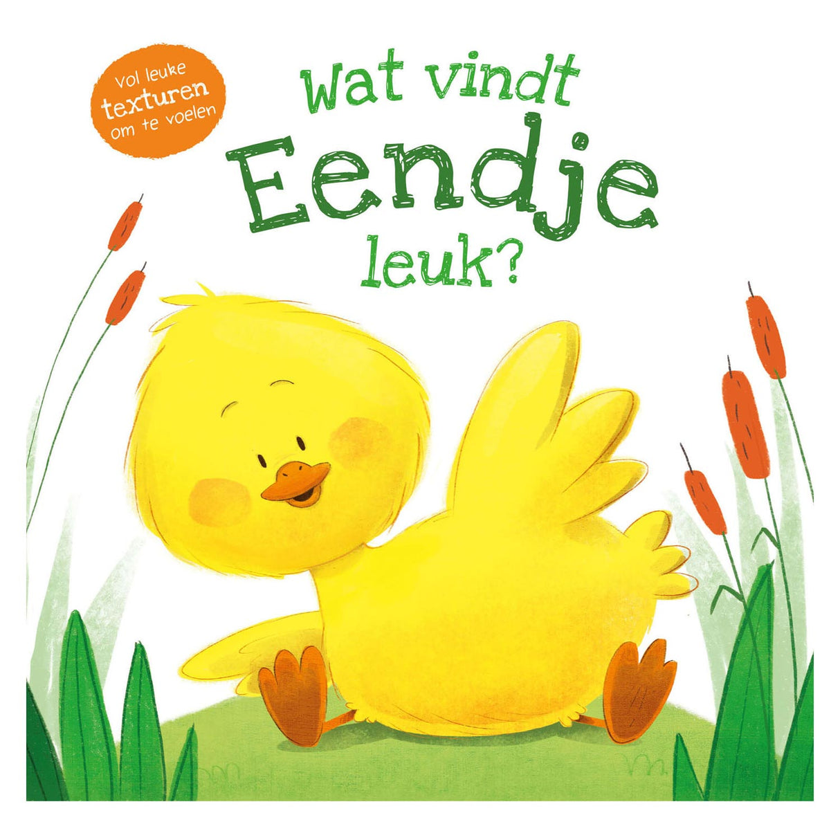 Rebo forlags taktile bog - hvad kan and lide?
