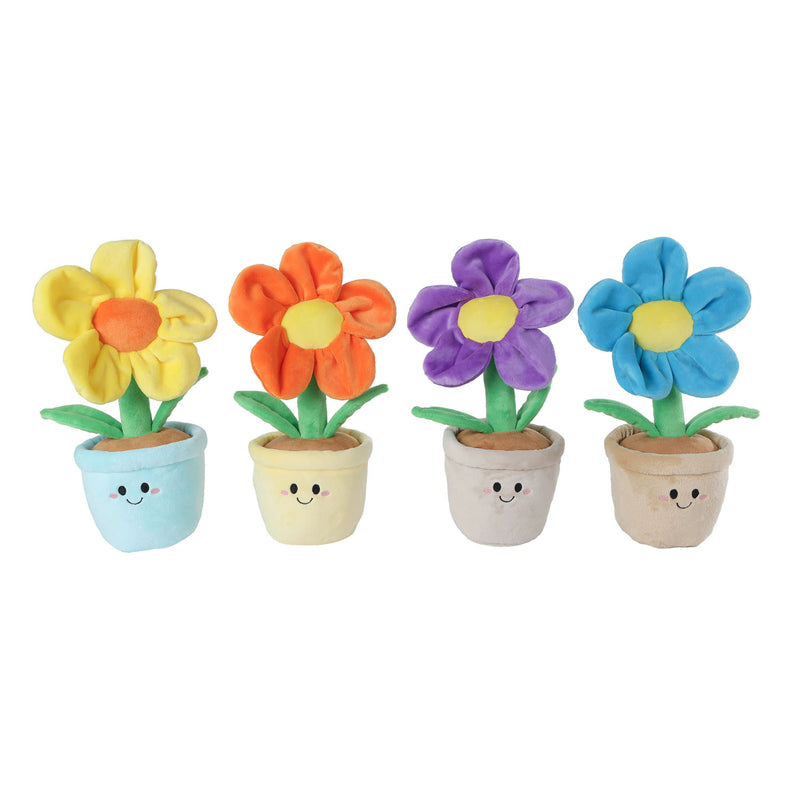 Tag mig hjemlig plant, 30 cm