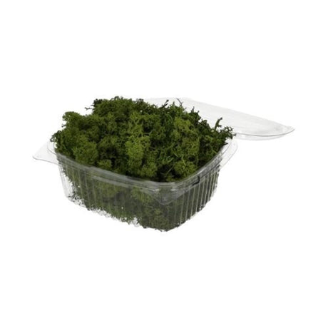 HBx naturlig levende rensdyrmos 50gr grøn