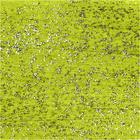 Creativ virksomhed https: www.cchobby.nl acryl-paint-with-glitters-lime-green-500-ml-1-bottle