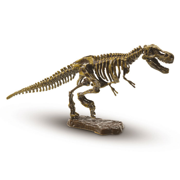 Ses kreative ses grave op t-rex