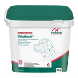 Primeval gelatinathund
