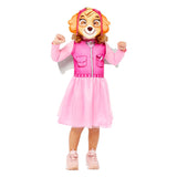 Paw Patrol Børns kostume Skye, 4-6 år gammel