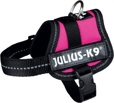 Julius K9 Power-Harnas Tuig til etiketter Fuchsia