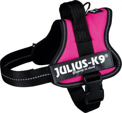 Julius K9 Power-Harnas Tuig til etiketter Fuchsia