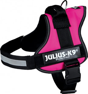 Julius K9 Power-Harnas Tuig til etiketter Fuchsia