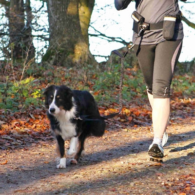 Trixie hoftebælte med jogging line sort