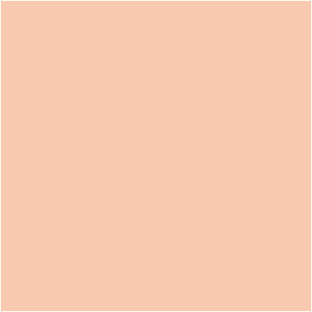 Bic http: www.cchobby.nl -visa-color-coloured-markers-line-thickness-3-mm-light-beige-12-piece-1-box
