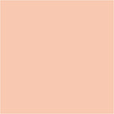 Bic http: www.cchobby.nl -visa-color-coloured-markers-line-thickness-3-mm-light-beige-12-piece-1-box