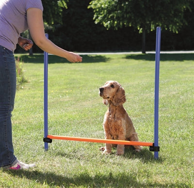 Trixie hund aktivitet agility hurdle blå orange