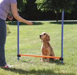 Trixie hund aktivitet agility hurdle blå orange