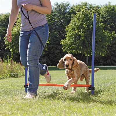 Trixie hund aktivitet agility hurdle blå orange