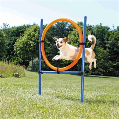 Trixie hund aktivitet agility ring blå orange