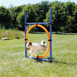 Trixie hund aktivitet agility ring blå orange