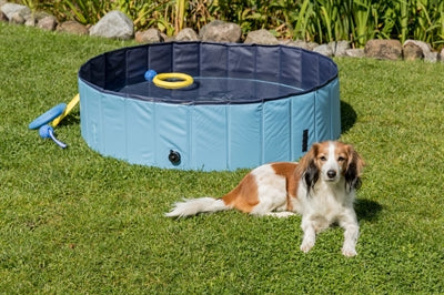 Trixie Dog Swimming Pool Light Blue Blue