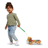 Vtech Timmie Gravhund xylofon med lys og lyd