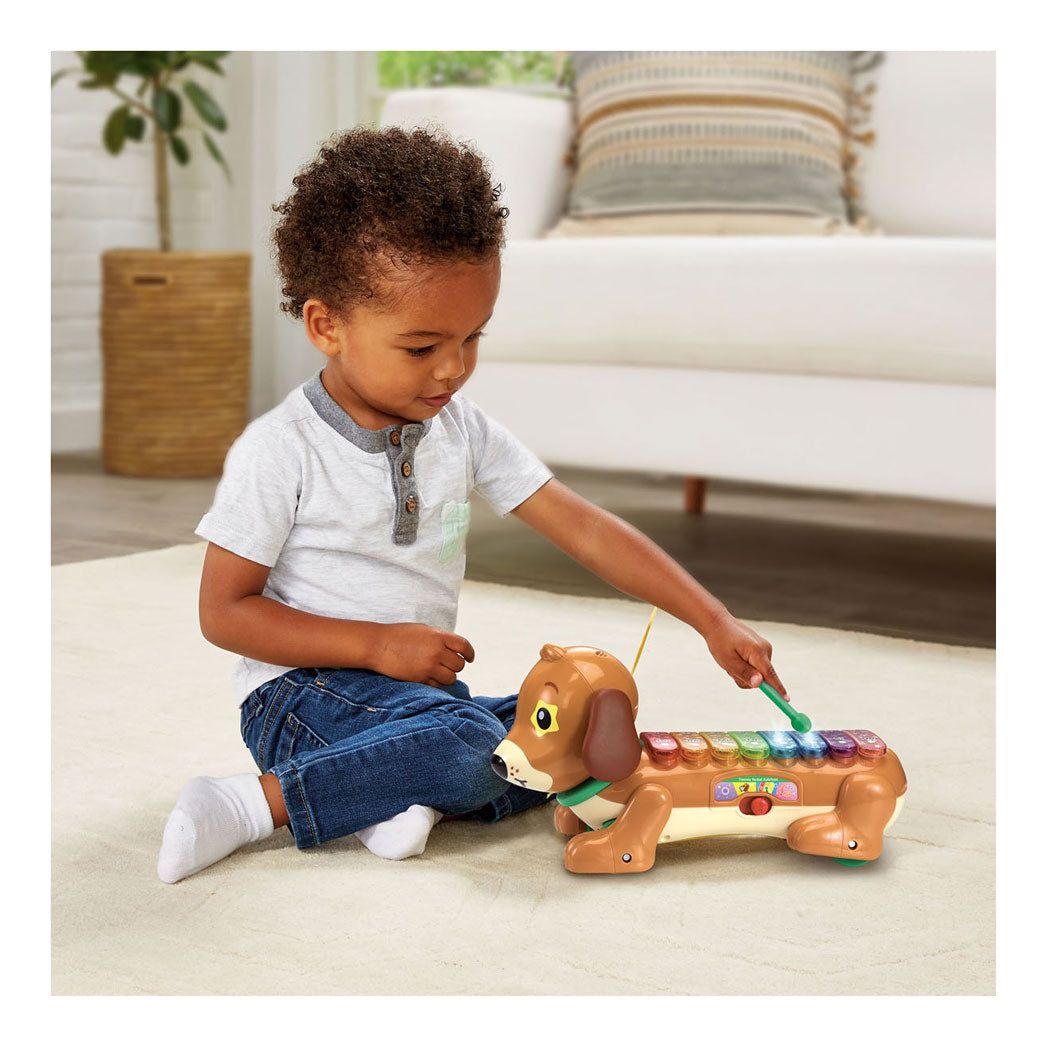 Vtech Timmie Gravhund xylofon med lys og lyd