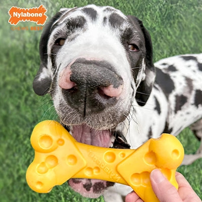 Nylabone dura tyg osteknogler