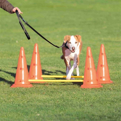Trixie hund aktivitet hækkesæt