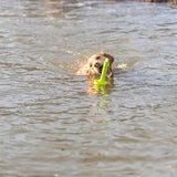 Trixie hundeaktivitet møl-aqua apportflyder limegrøn