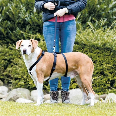 Trixie hundesele bliver sort