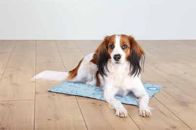 Trixie cool mat lyseblå
