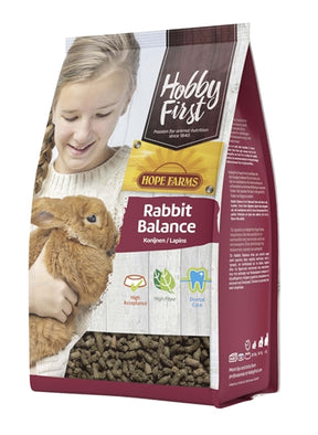 Hobby First Hopefarms Rabbit Balance