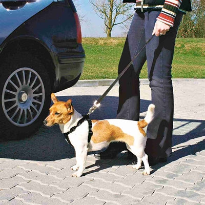 Trixie hundesele bil inklusive bælte sort