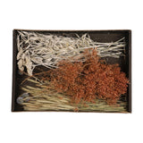 Naturlige kollektioner dijk naturkollektioner tørrede blomstermixbakke 38x26x5cm