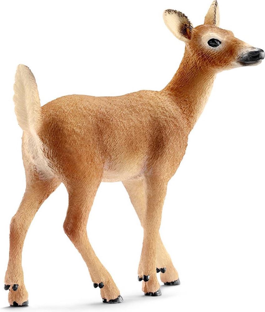 Schleich vilde liv hvid hale doe. 3