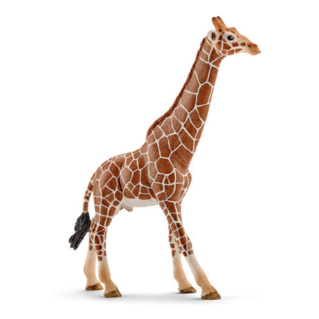 Schleich vilde liv - mandlig giraf - legefigur - børnelegetøj til drenge og piger - 3 til 8 år - 14749