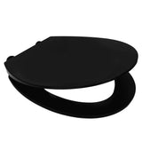 Ridder Ridder toiletglas Memphis Soft-Close Matt Zwart
