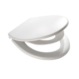 Ridder toiletglas Generation Soft-Close White 2119101