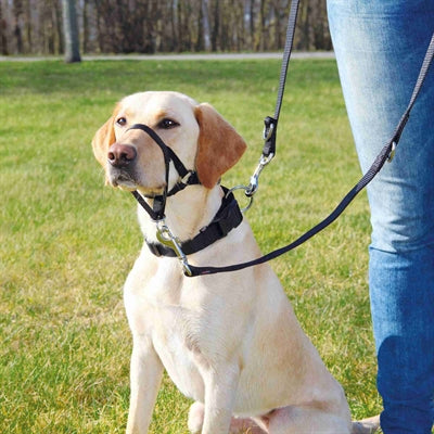 Trixie hundesele top træner anti-pull sele sort