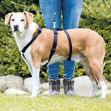 Trixie Dog Harness Stay Black
