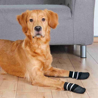 Trixie skridsikre hundesokker med gummilag hele vejen rundt, sorte