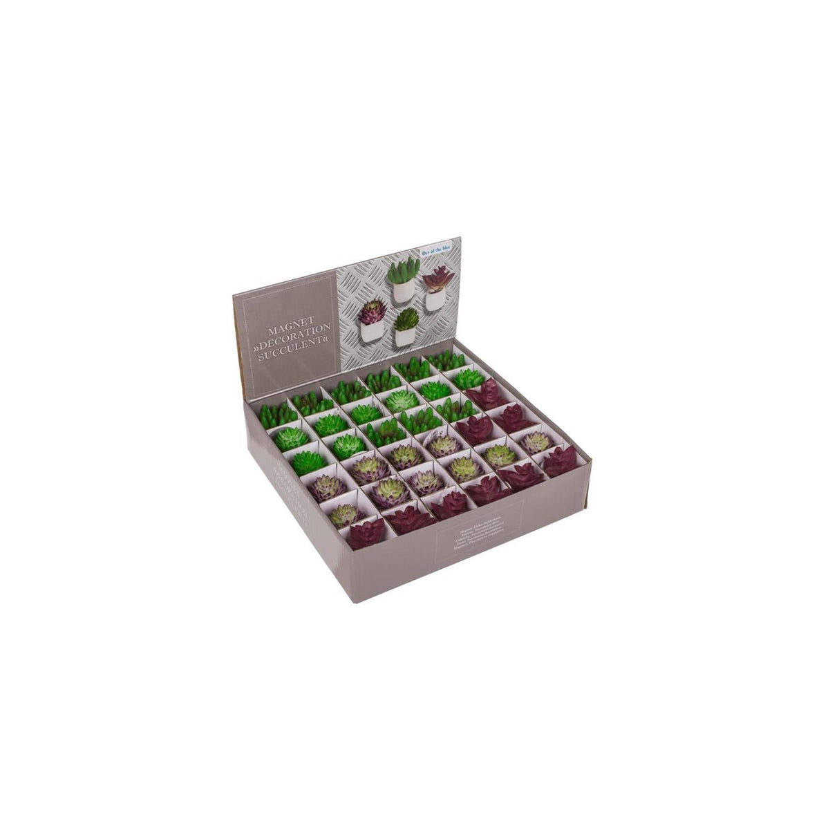 Ootb magnet sukkulent plante i potte 3x5cm 4 assorteret