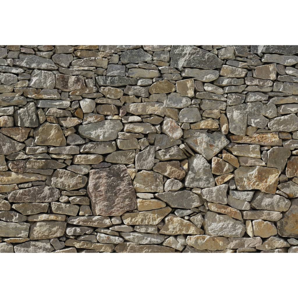 Komar Photo Wallpaper Stone Wall 368x254 cm 8-727