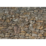 Komar Photo Wallpaper Stone Wall 368x254 cm 8-727