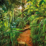 Komar Photo Wallpaper Jungle Trail 368x254 cm