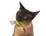 Catnip Dental Health Chew