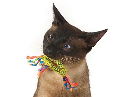 Catnip Dental Health Chew
