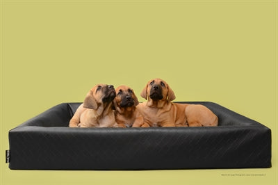 Bia sengehundekurv original firkantet sort