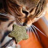 Croci Euphoria Stick Catnip Star med fjer