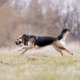Trixie kunstig pels snack dummy